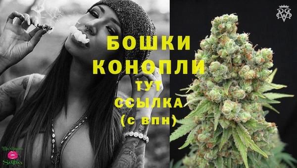 таблы Куровское