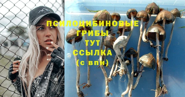 винт Коряжма