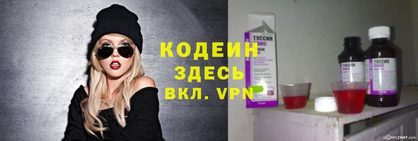 хмурый Корсаков
