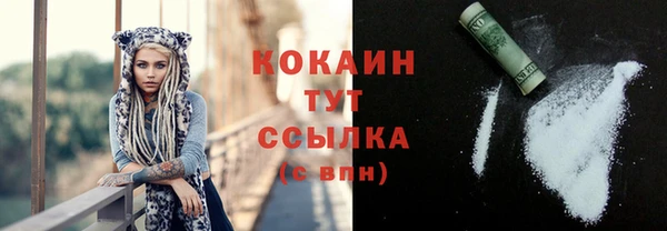 дживик Кулебаки