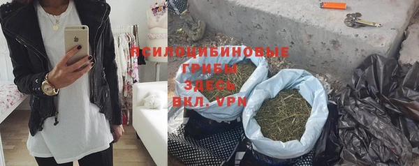 ПСИЛОЦИБИНОВЫЕ ГРИБЫ Курчалой