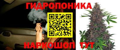 ешки Донской