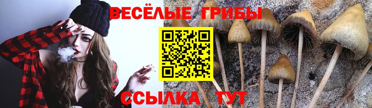 Псилоцибиновые грибы мицелий  Вход с VPN  Михайловка 